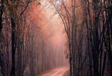 黑白体育官网：汪海健：中国队会在定位球上做足工作2025-03-20.