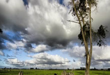 黑白体育官网：[国足]U17亚预赛中国队6-0不丹收获两连胜.