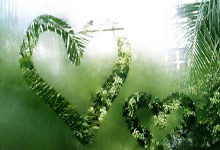 黑白体育官网：“西班牙足协主席宣布联合申办2035年女足世界杯”.